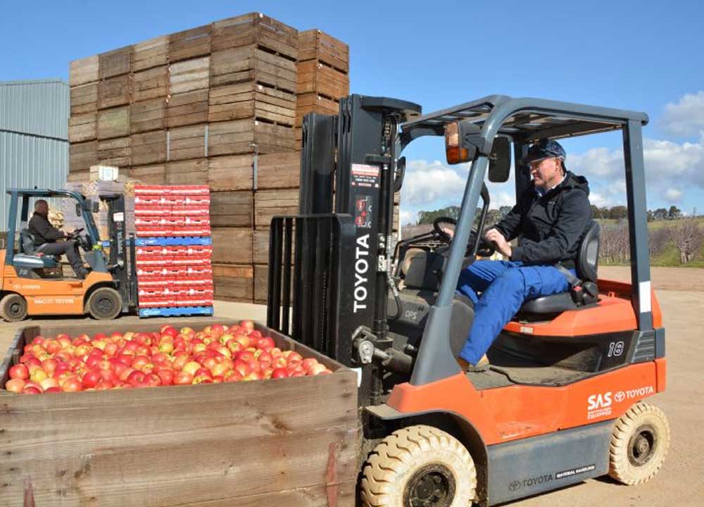 This image for Image Layouts addon